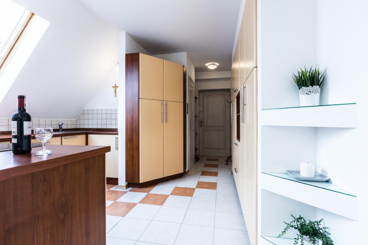 Apartament Irys ザコパネ エクステリア 写真